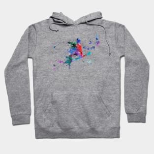 Snowboarder Hoodie